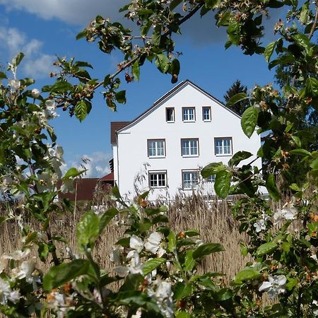 Das Haus Am Teich Gross Grabow Kültér fotó