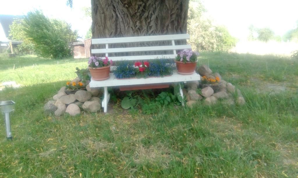 Das Haus Am Teich Gross Grabow Kültér fotó