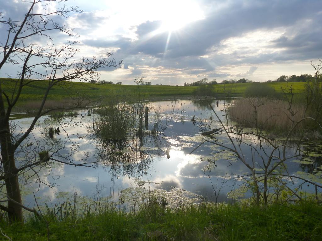 Das Haus Am Teich Gross Grabow Kültér fotó